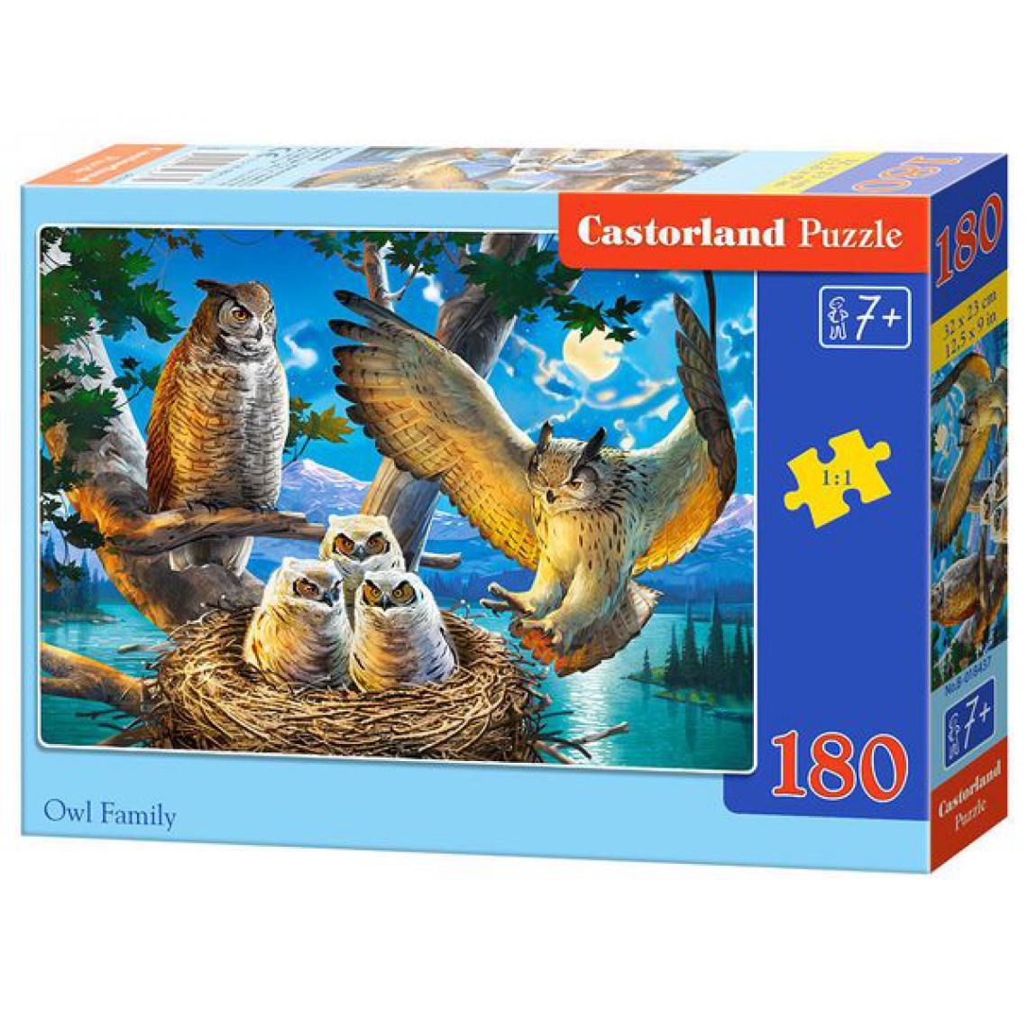 Castorland - Owl Family, Puzzle 180Teile - Castorland - Accessoires et pièces