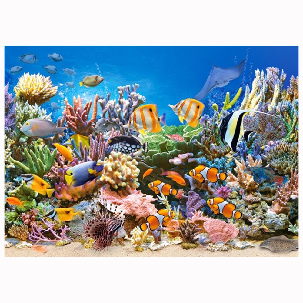 Castorland - Puzzle 260 pièces : Les couleurs de l'océan - Animaux