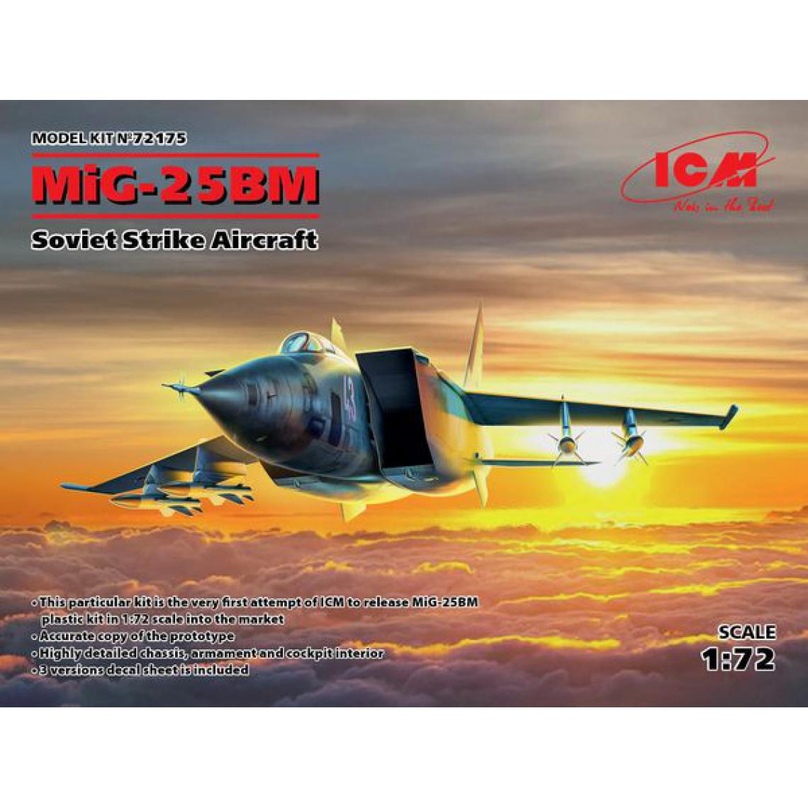 Icm - MiG-25 BM, Soviet Strike Aircraft - 1:72e - ICM - Accessoires et pièces