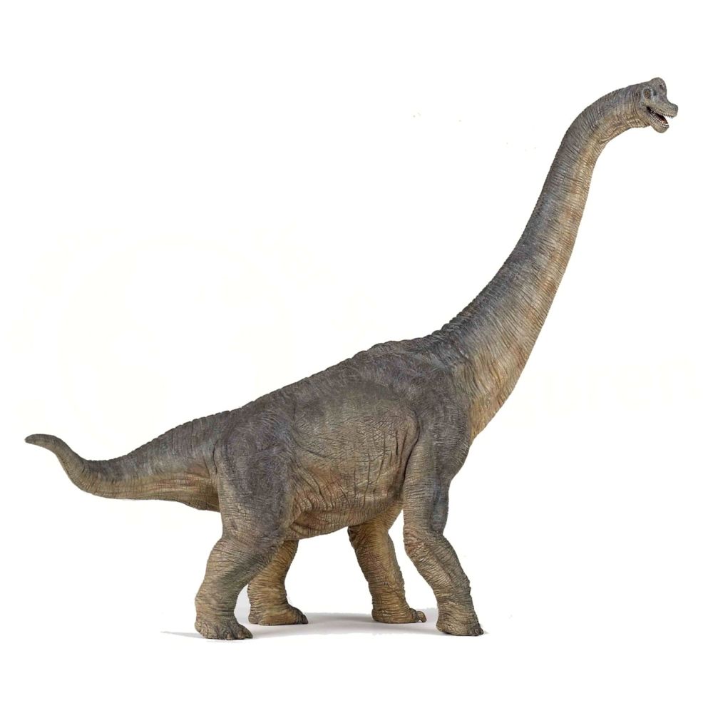 Papo - Figurine Dinosaure : Brachiosaure - Dinosaures