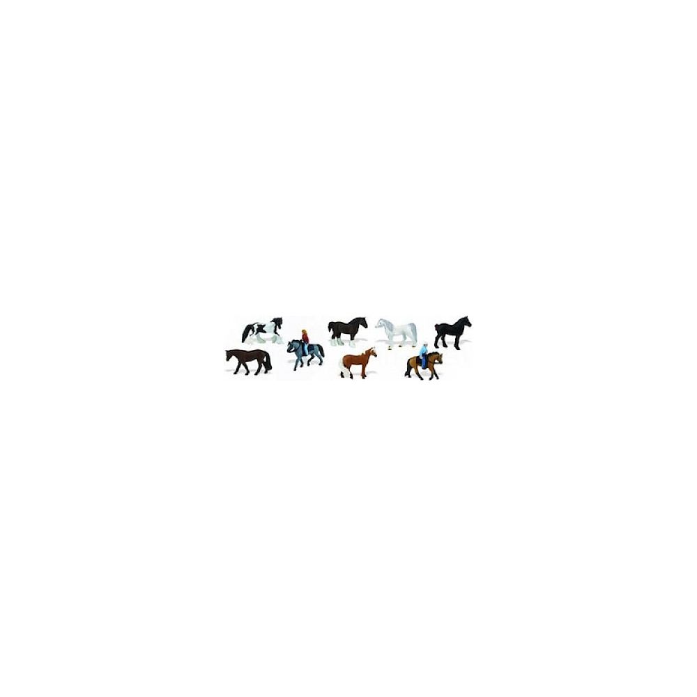Safari - Tubo Chevaux et leurs cavaliers - Animaux