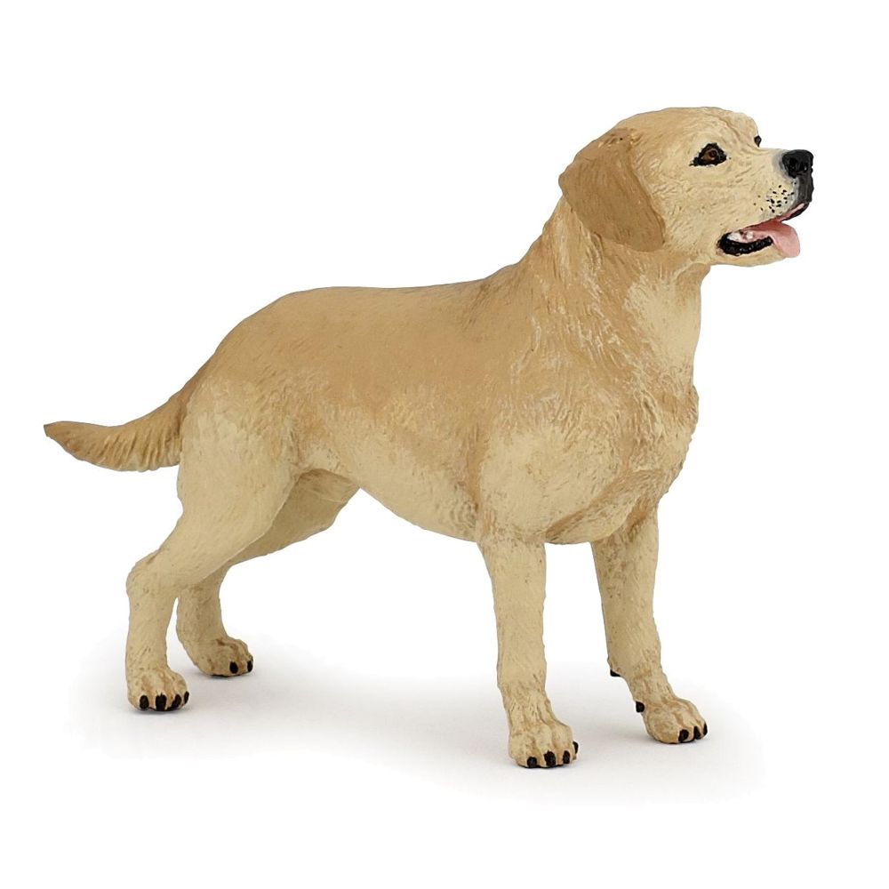 Papo - Figurine chien : Labrador - Animaux