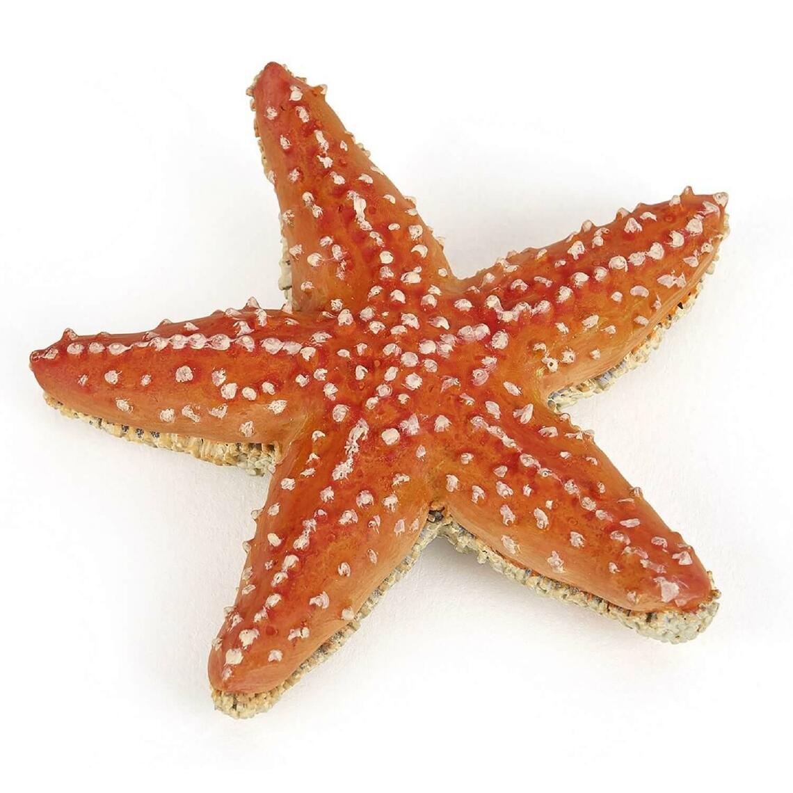 Papo - Figurine étoile de mer - Animaux