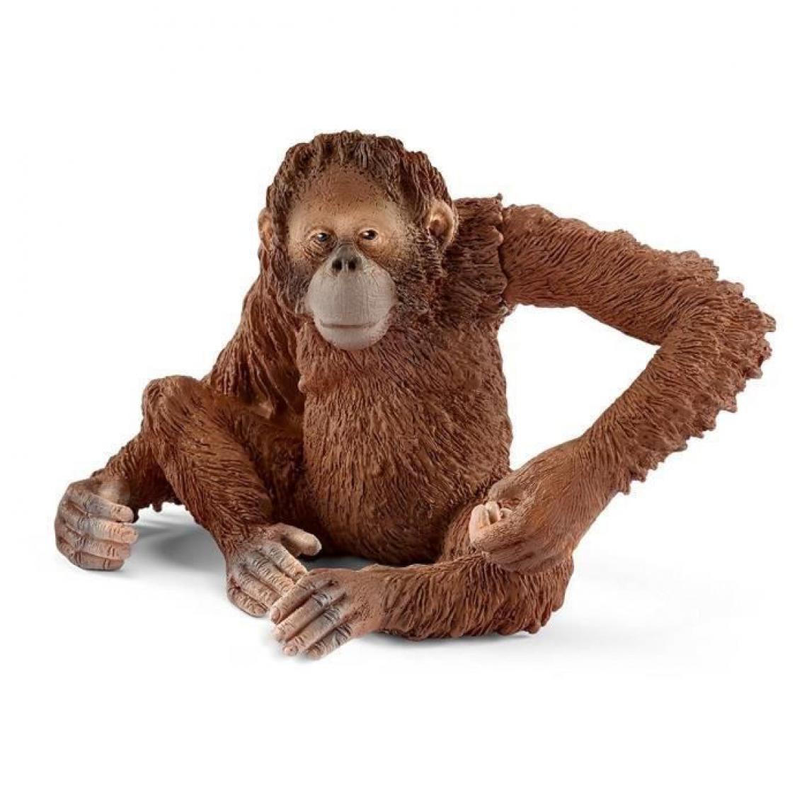 Schleich - SCHLEICH Figurine 14775 - Animal sauvage - Orang-outan, femelle - Animaux