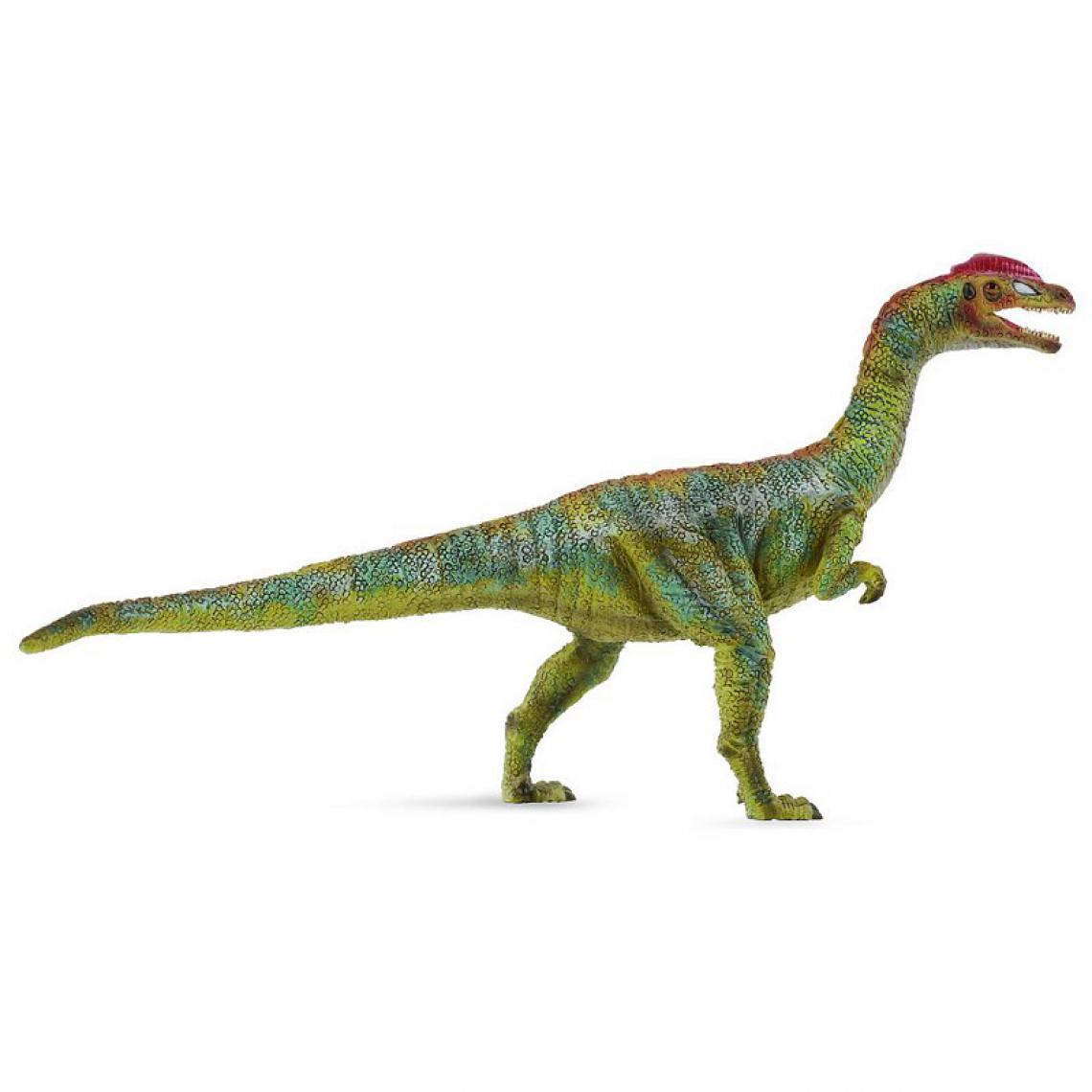Figurines Collecta - Figurine Dinosaure : Lilienst - Dinosaures