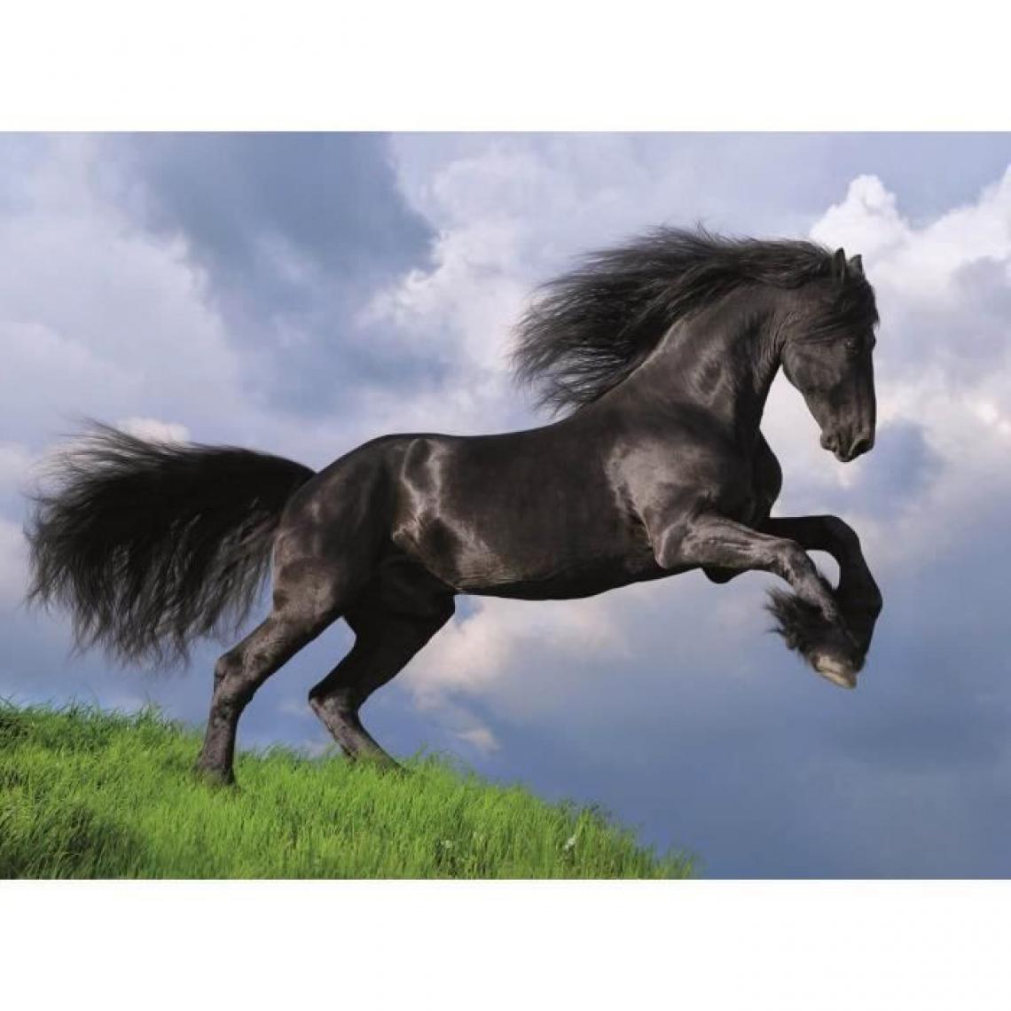 Clementoni - CLEMENTONI - 35071 - 500 pieces - Fresian black horse - Animaux