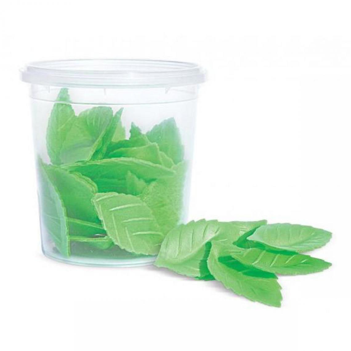 Scrapcooking - Décors azymes - 24 feuilles vertes - Kits créatifs