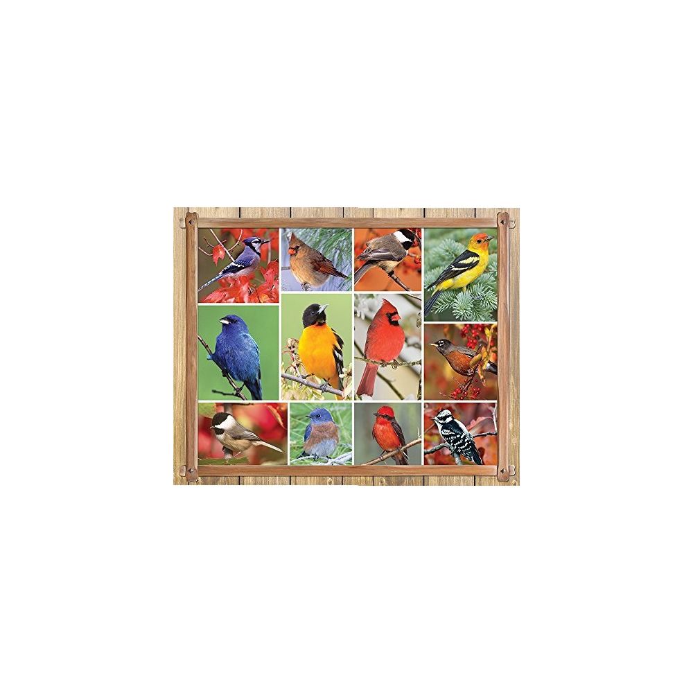 Springbok - Springbok Alzheimer & Dementia Jigsaw Puzzles - Songbirds - 100 Piece Jigsaw Puzzle - Large 235 Inches by 18 Inches Puzzle - Made in USA - Extra Large Easy Grip Pieces - Accessoires Puzzles