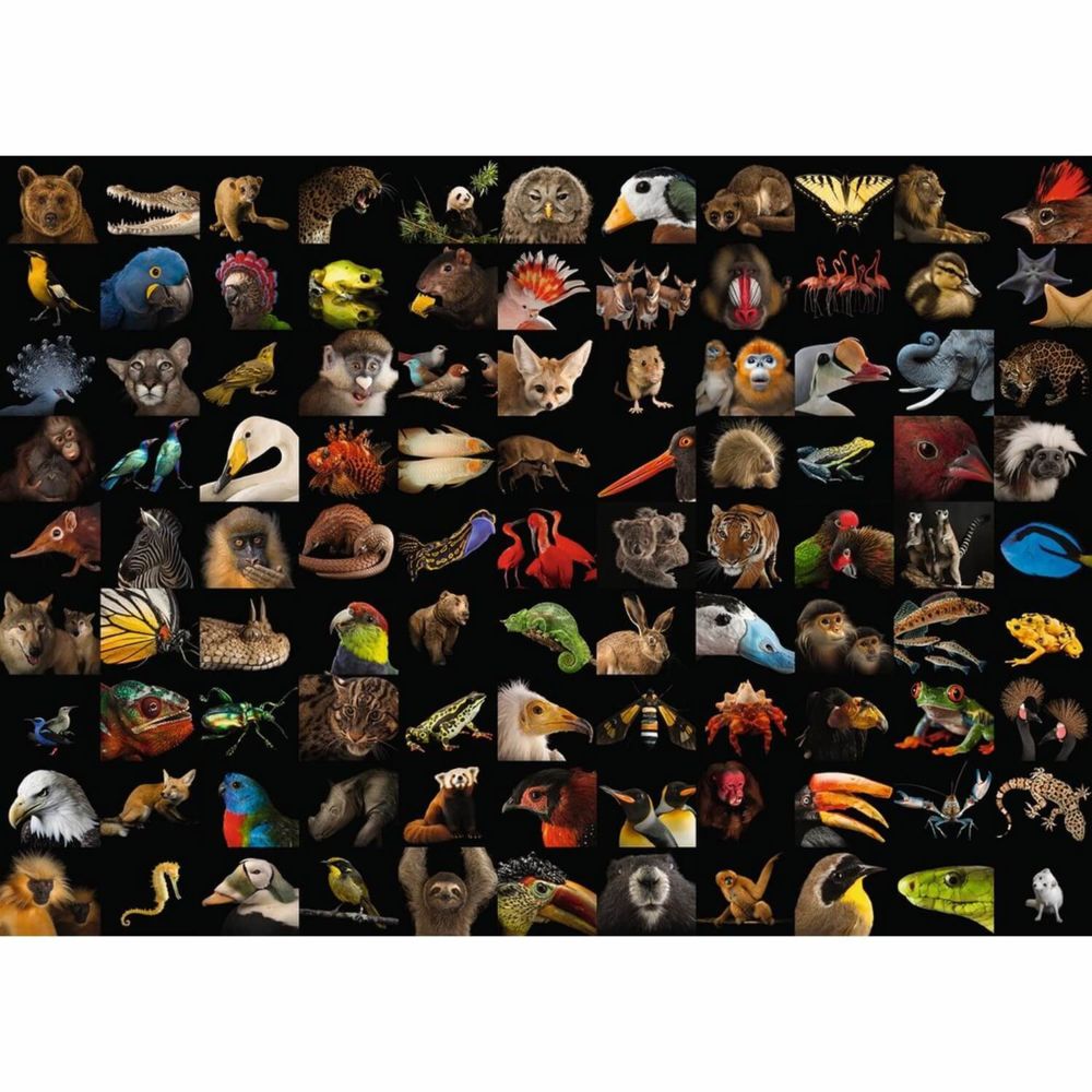 Ravensburger - Puzzle 1000 pièces - 99 animaux époustouflants / National Geographic - Animaux