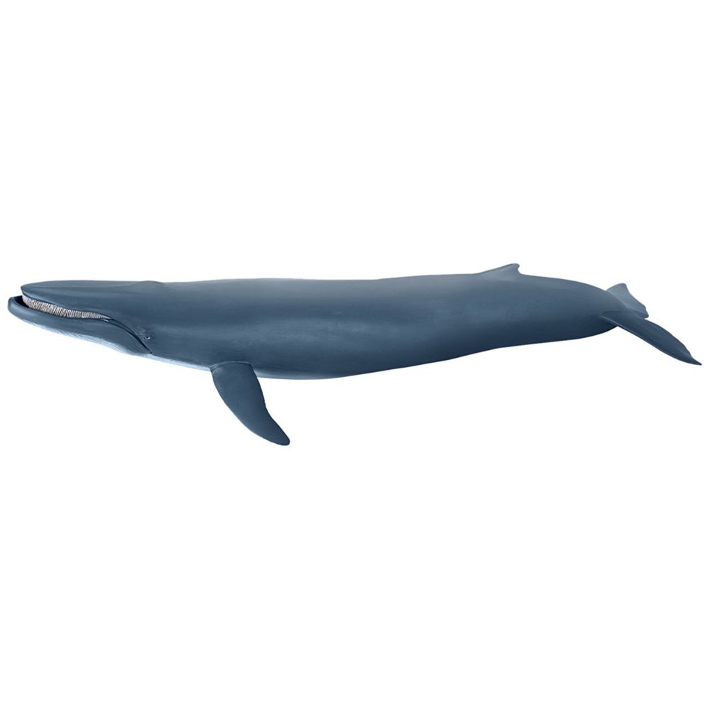 Papo - Baleine bleue - Animaux
