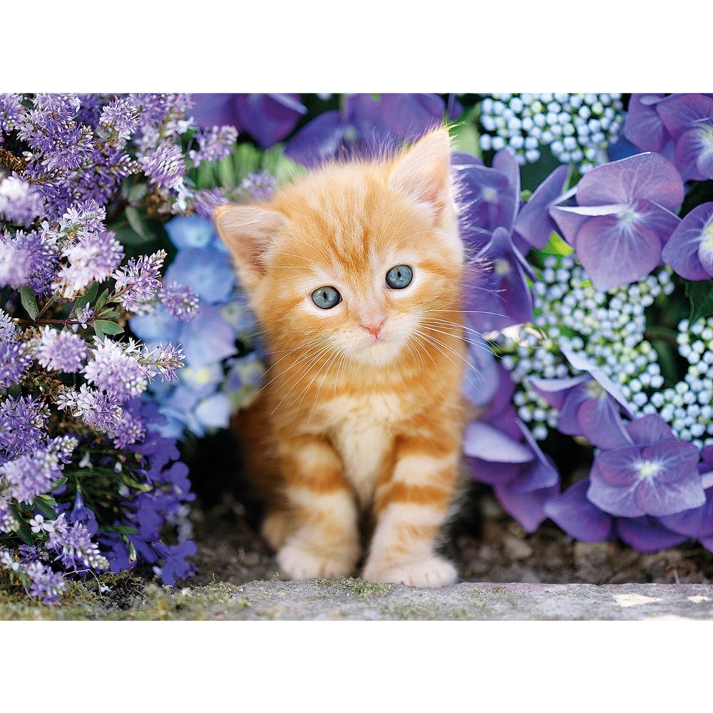 Clementoni - CLEMENTONI - 30415 - 500 pièces - Ginger cat in flowers - Animaux