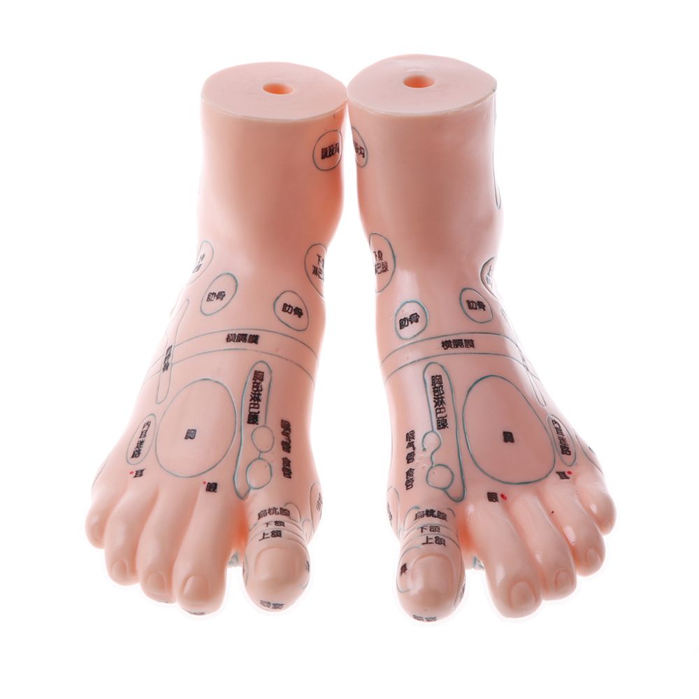 marque generique - Statue de pieds de humains en PVC - Kit d'expériences