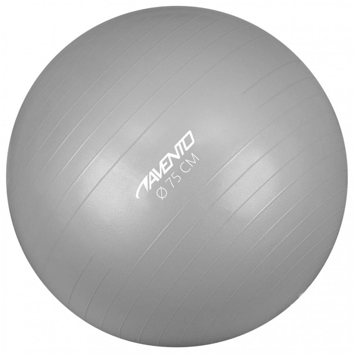 Avento - Avento Ballon de fitness/d'exercice Diamètre 75 cm Argenté - Jeux de balles