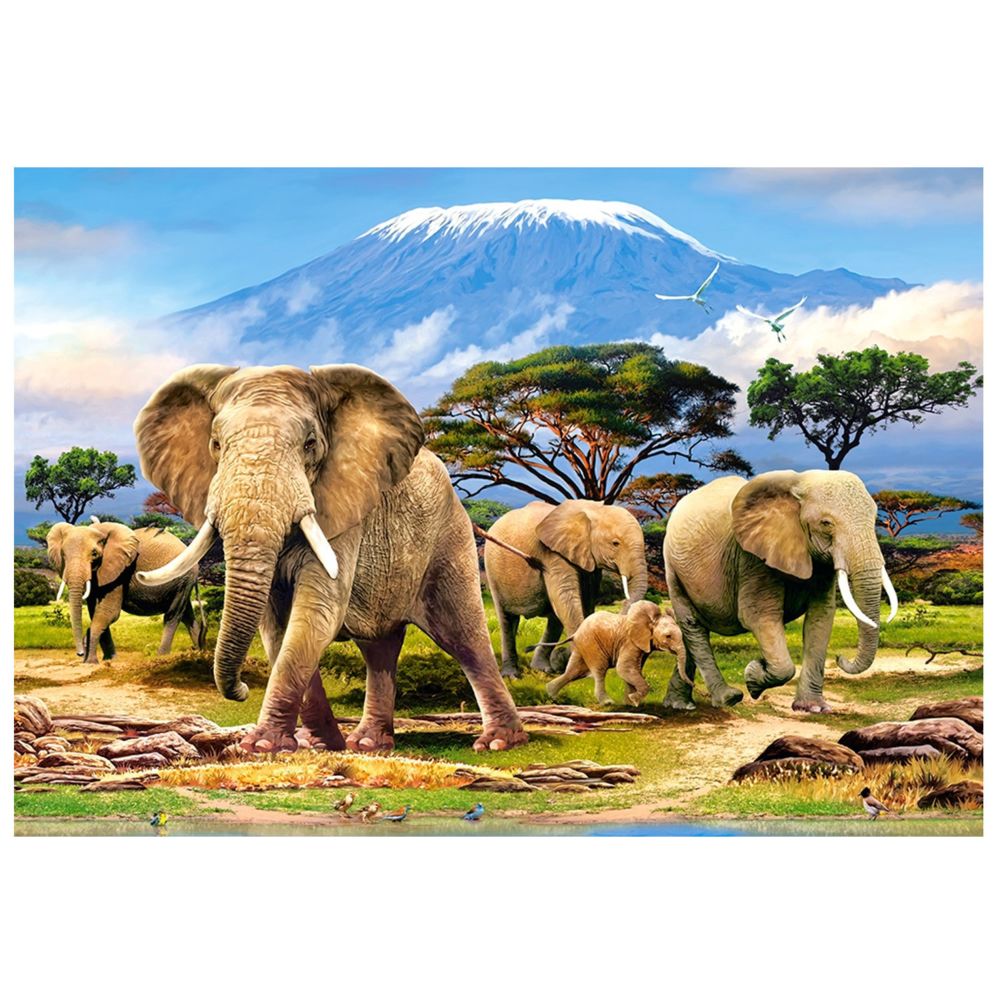 Castorland - Puzzle 1000 pièces : Réveil matinal près du Kilimanjaro - Animaux