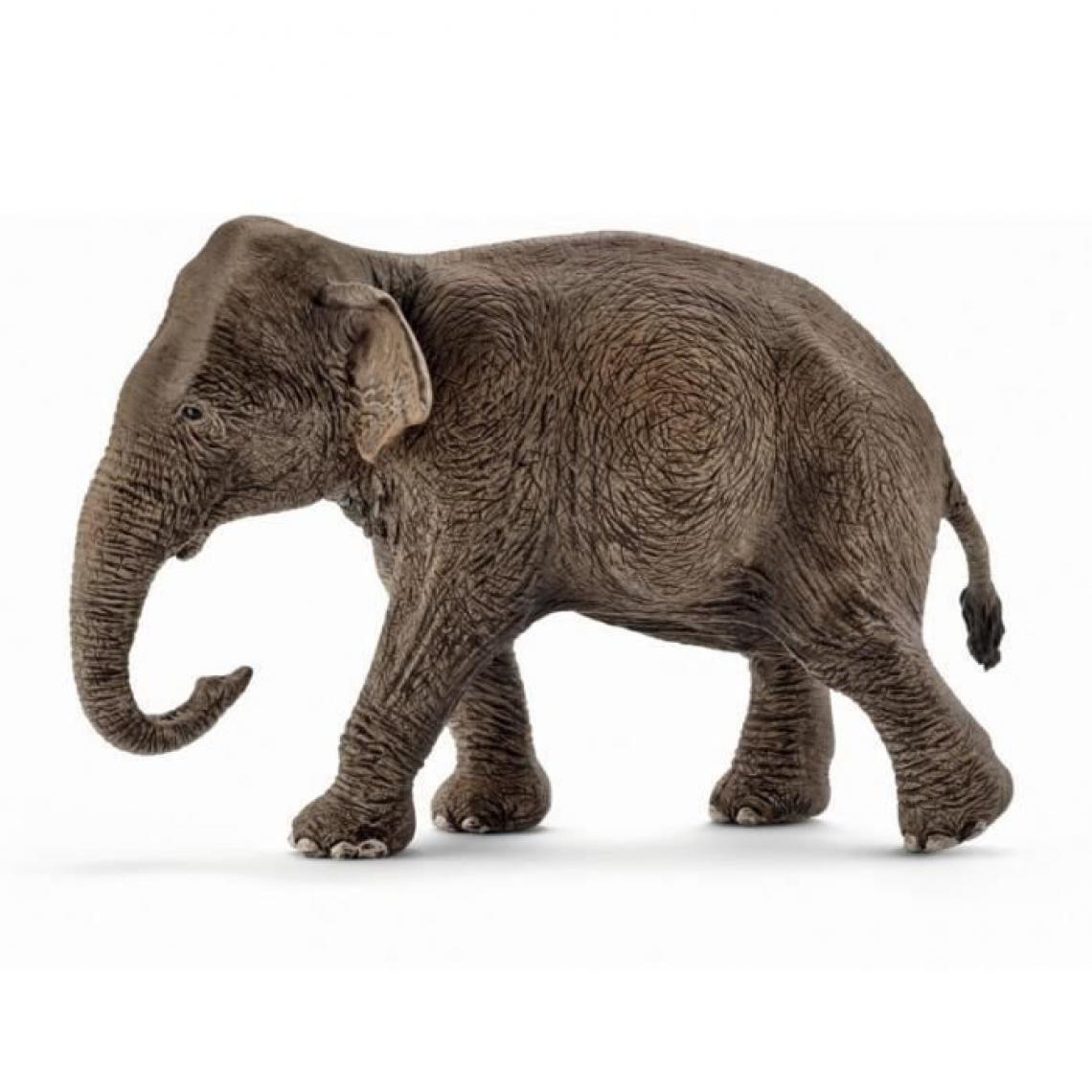 Schleich - Schleich Figurine 14753 - Animal de la savane - Elephant dAsie, femelle - Animaux