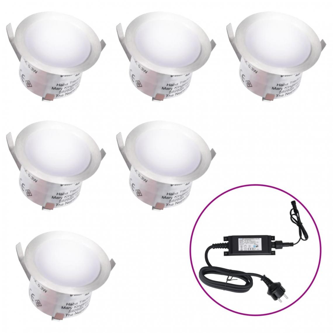 Vidaxl - vidaXL Lampes de sol à LED 6 pcs Blanc froid - Lampadaire