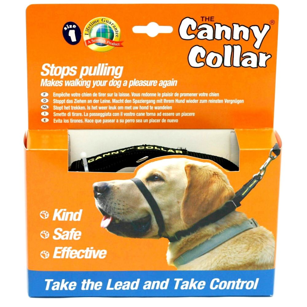 Generic - Canny - Collier anti-traction - Chien (Taille 6) (Noir) - UTVP2006 - Collier pour chien