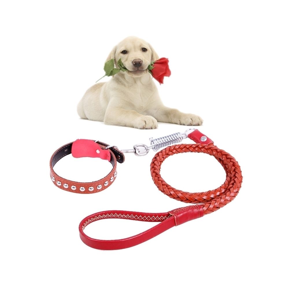 Wewoo - Pour les chiens de taille brun moyenne et grande, L, longueur de corde: 130cm de collier: 43-55cm Ceinture de traction en cuir de vache collier de chien télescopique, adapté - Laisse pour chien
