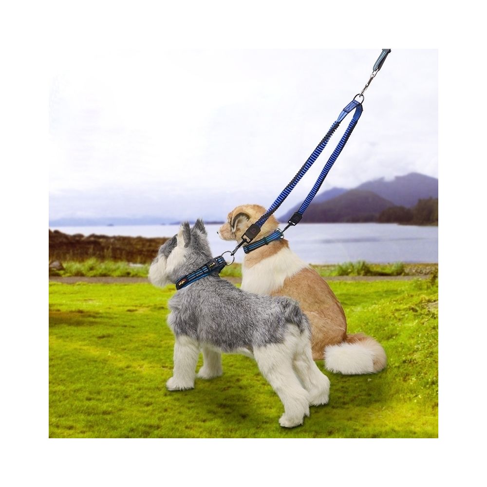 Wewoo - Corde tressée réfléchissante de nylon de de traction de double de télescopique d'animal familier, grand, longueur: 107cm, couleur aléatoire - Laisse pour chien