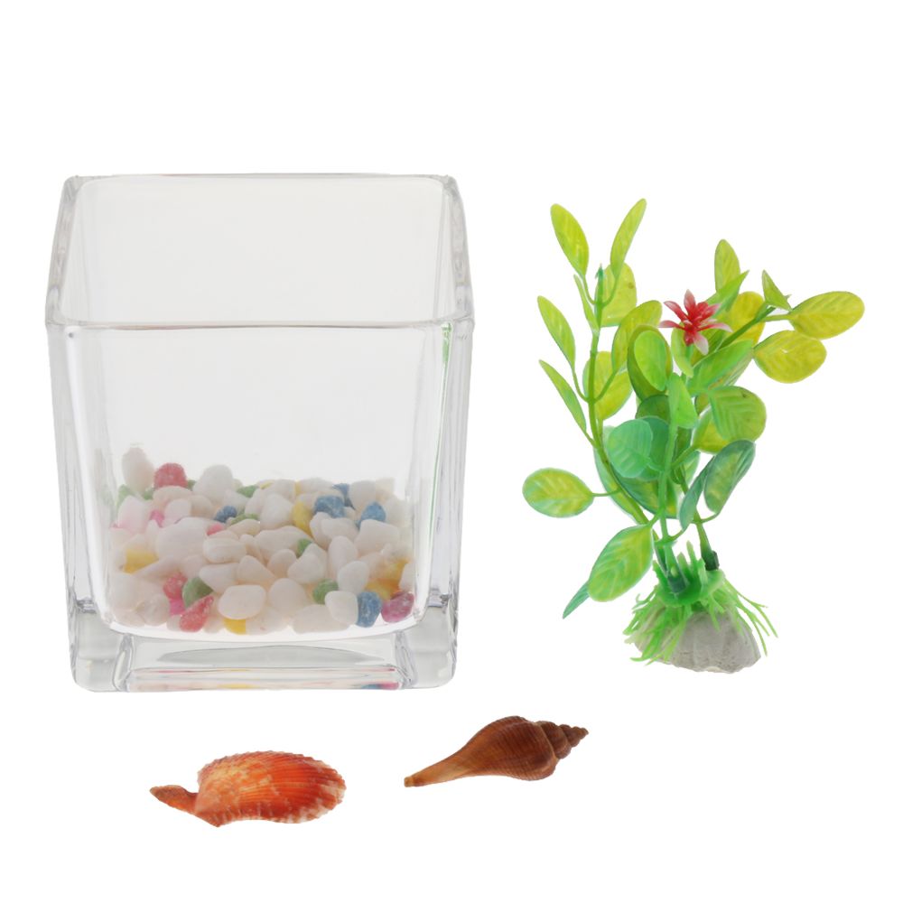 marque generique - Aquarium de bureau pot en verre pour aquarium - Décoration aquarium