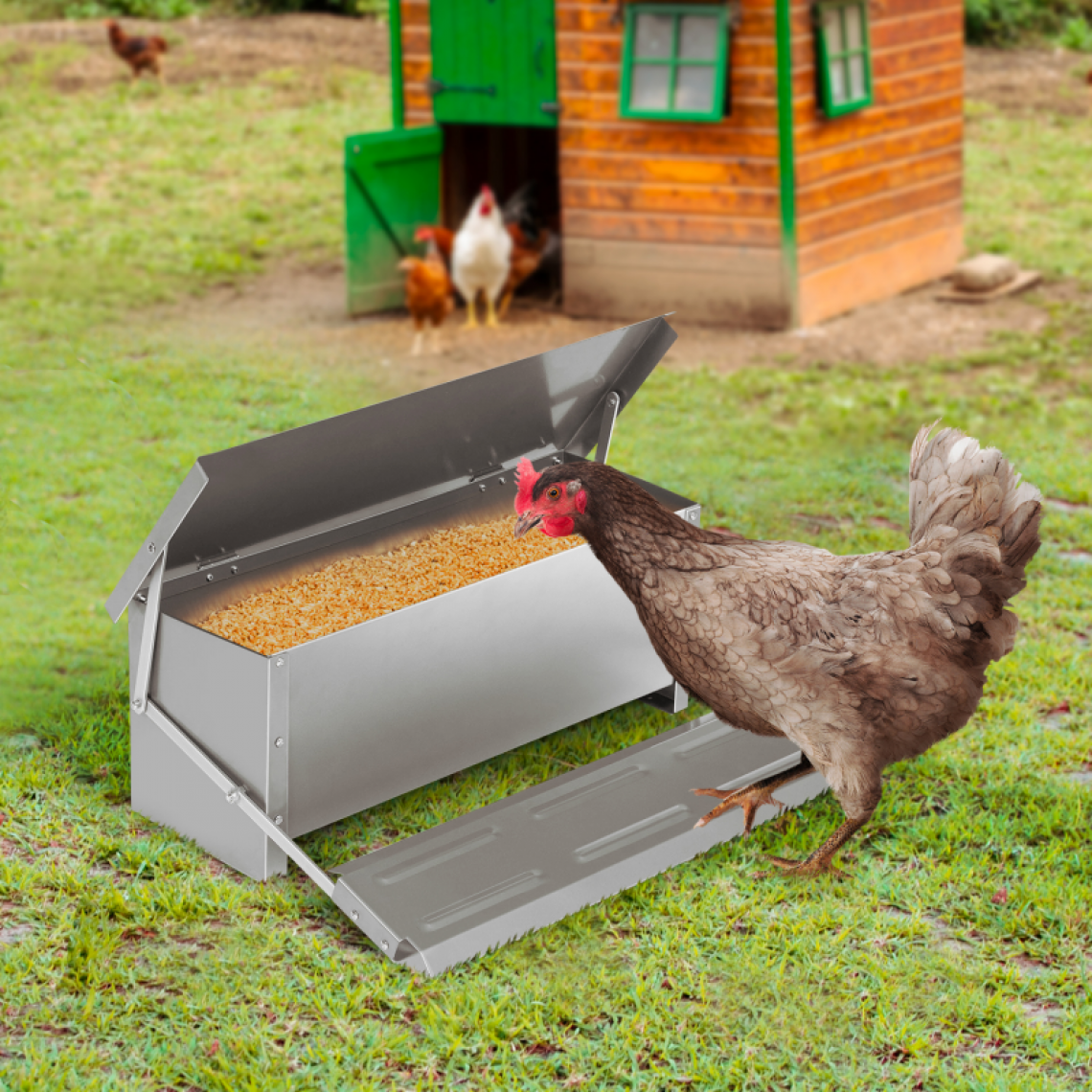 Idmarket - Mangeoire XXL pour poules distributeur automatique à pédale en acier 10 kg - Accessoires basse-cour