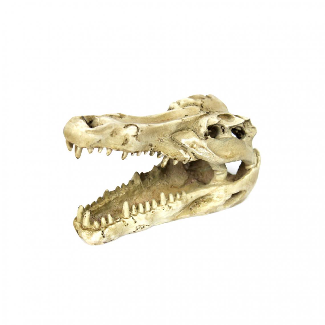 marque generique - Reptile Décoration Aménagement Paysager DIY Crâne Crocodile Résine - Alimentation reptile