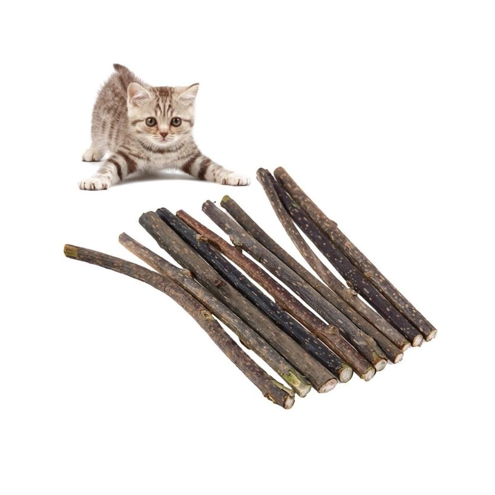 Wewoo - Jouet pour Chat en bois scorpion molaire menthe à la morsure de boule de poils 5 pcs / paquet - Jouet pour chien