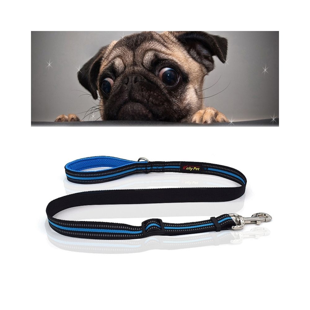 Wewoo - Laisse en nylon de traction bleu de chien de nuit réfléchissante respirable de chiens de chien, taille: M, réglable Gamme: 2.5 * 100-140cm - Laisse pour chien