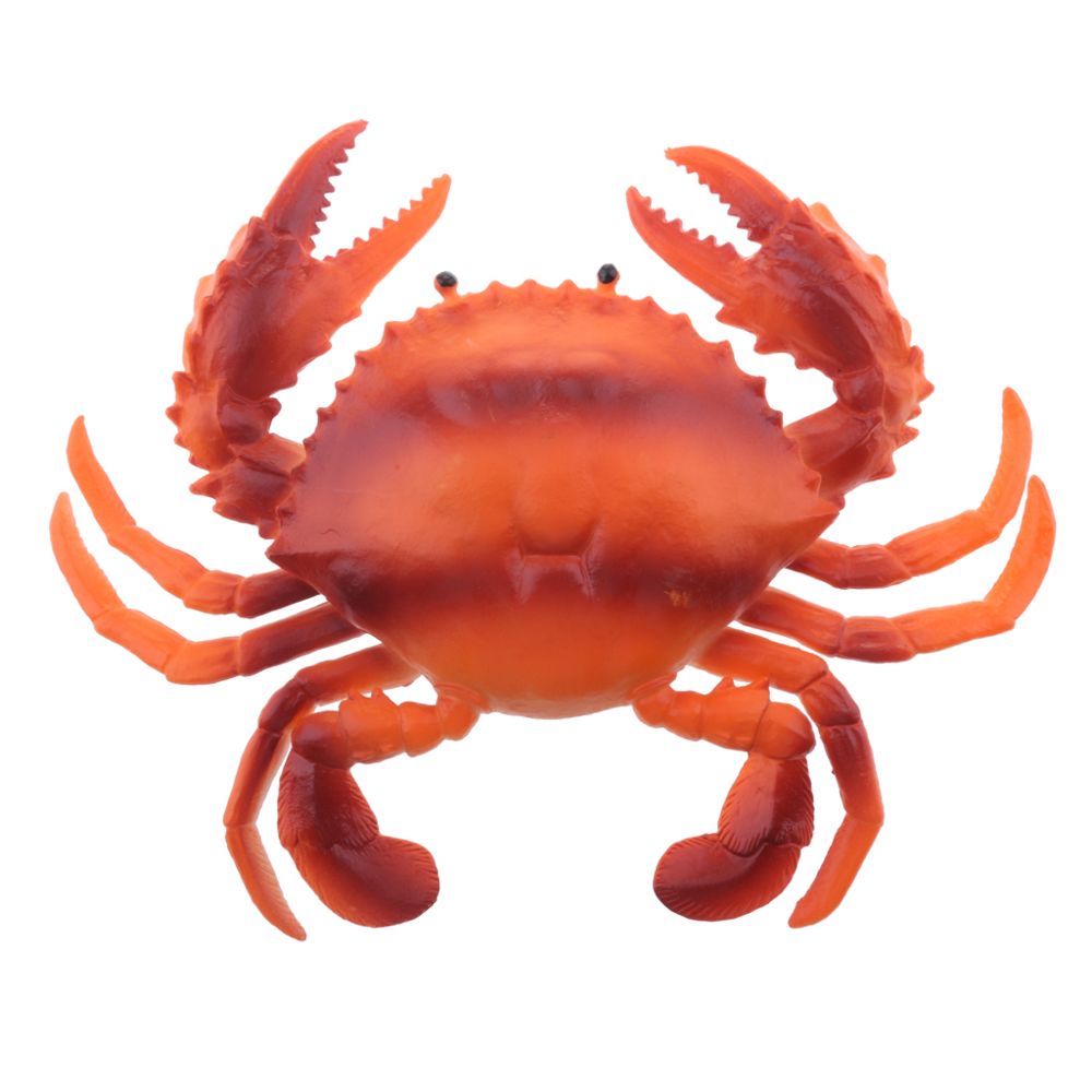 marque generique - faux modèle dispaly animaux marins artificiels décoration crabe rouge - un - Petite déco d'exterieur