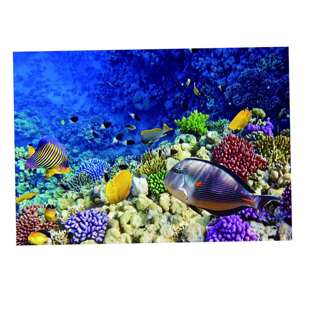 marque generique - aquarium fond affiche aquarium de poissons papier peint décor mer monde 76x56cm - Décoration aquarium