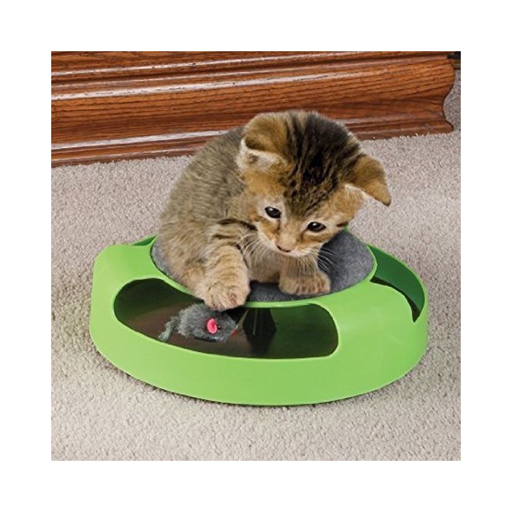 Wewoo - Jouet pour Animaux Le plastique de chat d'approvisionnements d'animal familier attrapent les jouets interactifs de plate-forme de souris - Jouet pour chien
