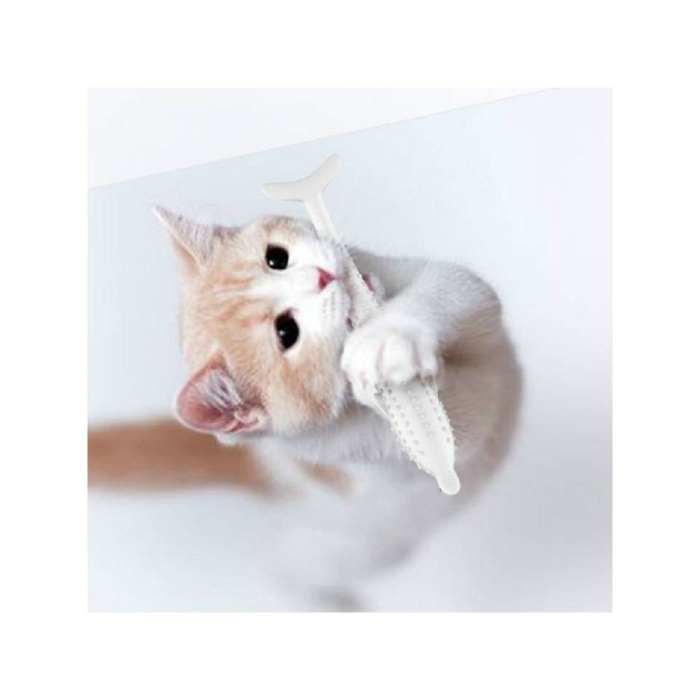 Wewoo - Jouet pour dauphin en silicone à nettoyer les dents de chat blanc laiteux - Jouet pour chien
