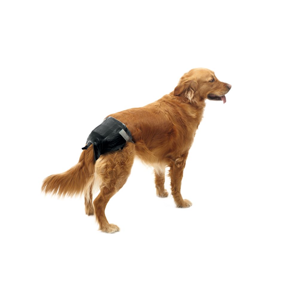 marque generique - Couches pour chien Comfort Nappy taille 3 - Hygiène et soin pour chien