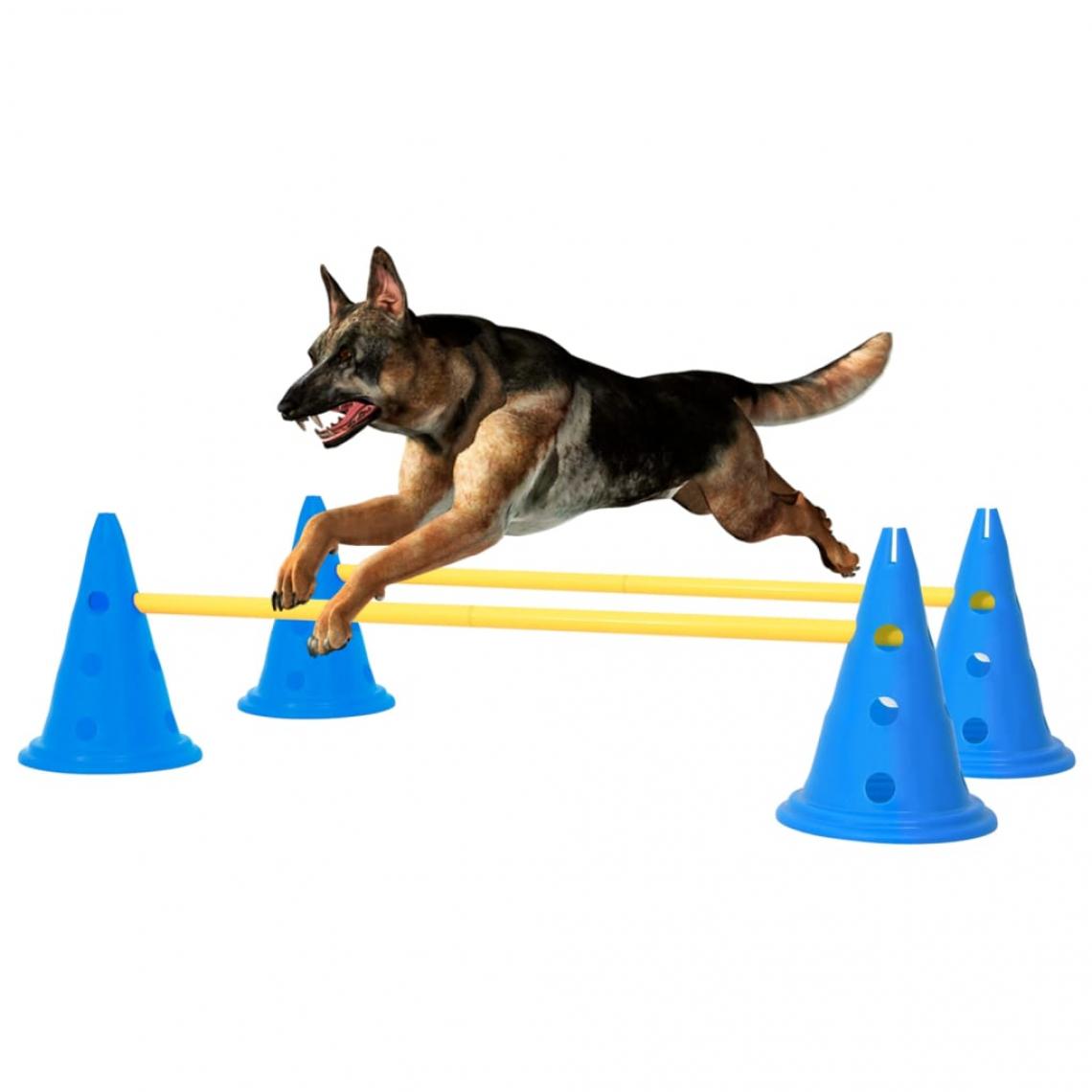 Vidaxl - vidaXL Ensemble d'obstacles d'activité pour chien Bleu et jaune - Laisse pour chien