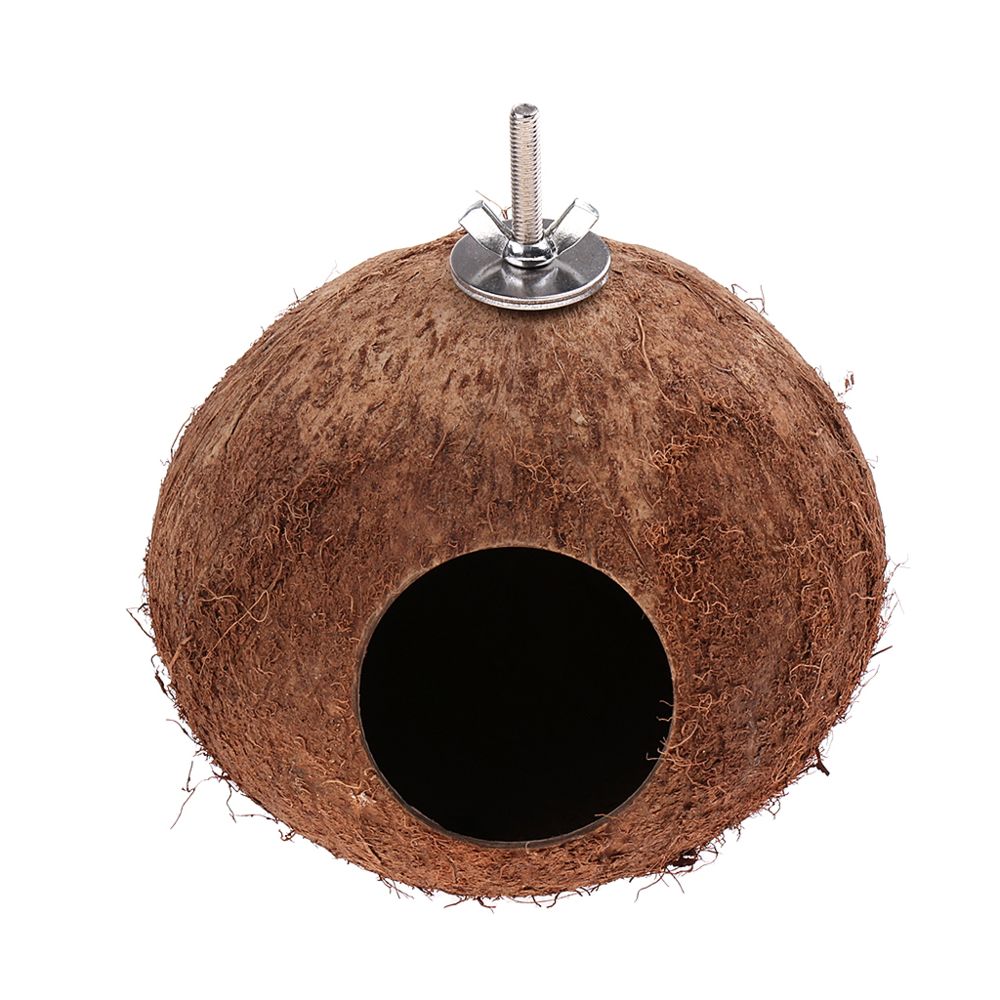 marque generique - oiseau perroquet perruche perruche cocl nid hamac balançoire jouet vis - Jouet pour chien