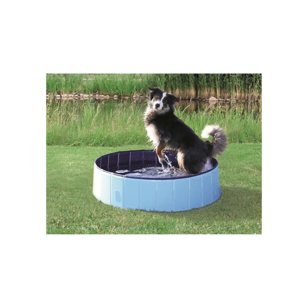 marque generique - BAIGNOIRE DE TOILETTAGE Piscine - Ø 160 × 30 cm - Bleu clair et bleu - Pour chien - Accessoires toilettage pour chien