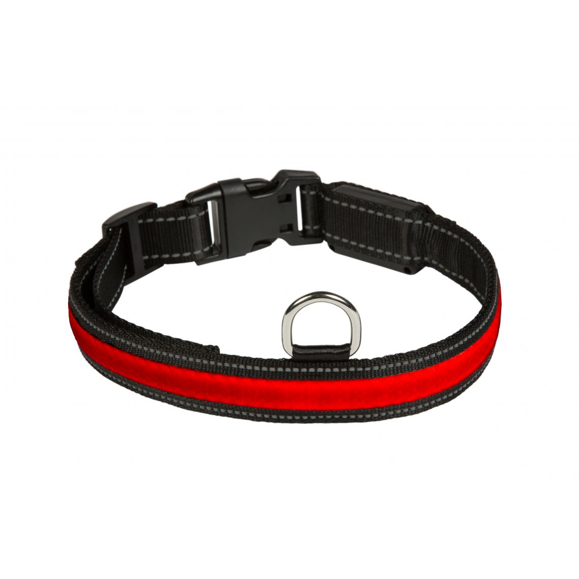 Eyenimal - Collier lumineux rouge EYENIMAL - Taille S - Collier pour chien