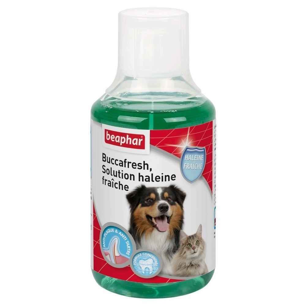 Beaphar - Beaphar - Solution Buccafresh Haleine Fraîche pour Chiens et Chats - 250ml - Hygiène et soin pour chien