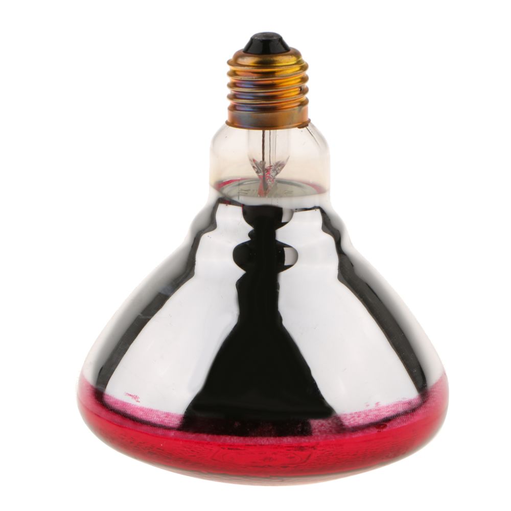 marque generique - E27 chaleur ampoule lampe d'élevage émetteur de chaleur infrarouge type de chauffage 4 - 100w - Alimentation reptile