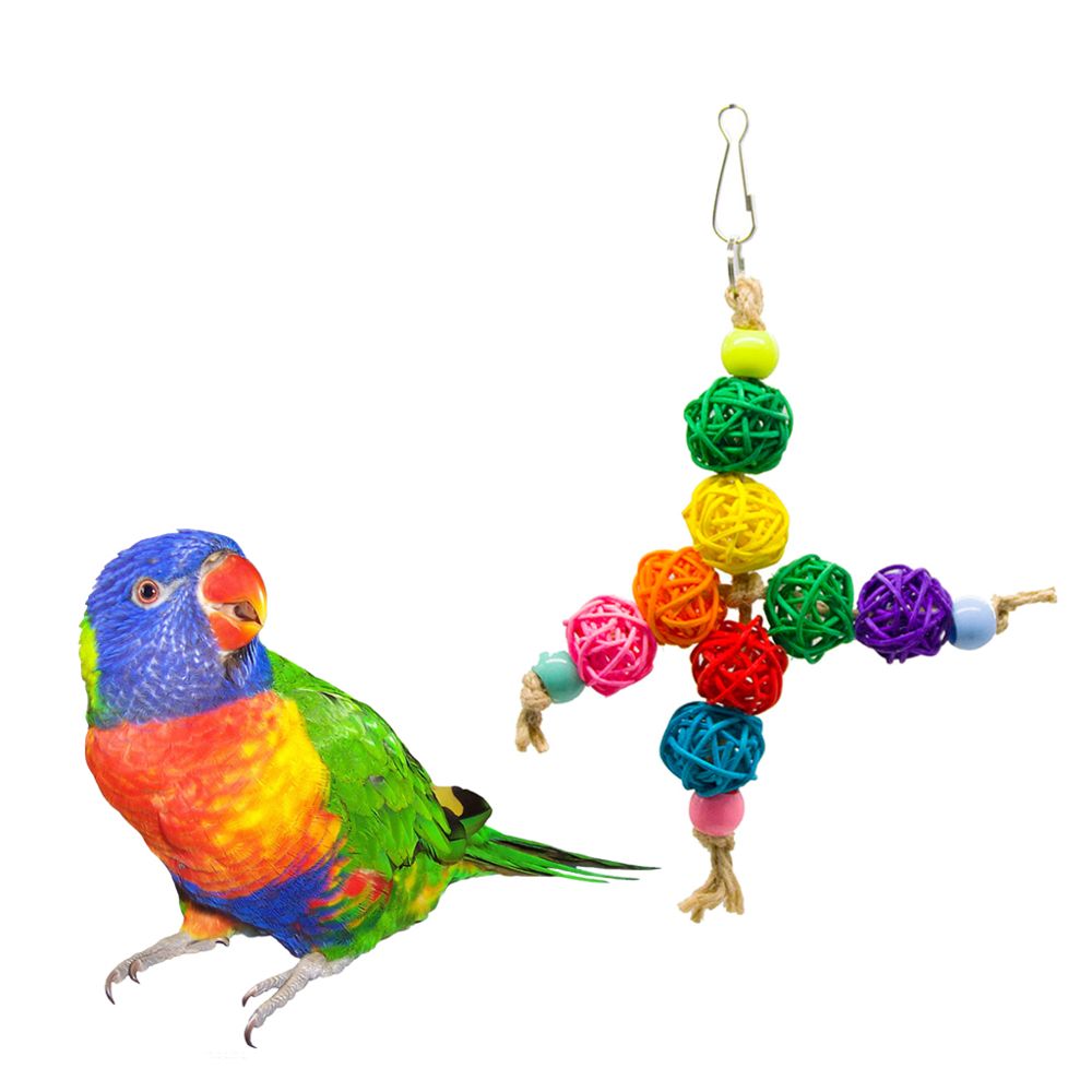 marque generique - Boules de rotin colorées en forme de perroquet en forme de perroquet pour oiseaux - Jouet pour chien