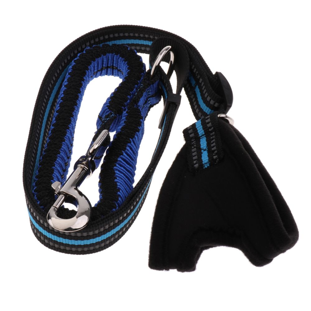 marque generique - Laisse d'entrainement mains libres flexible avec coutures réfléchissantes bleu l - Laisse pour chien