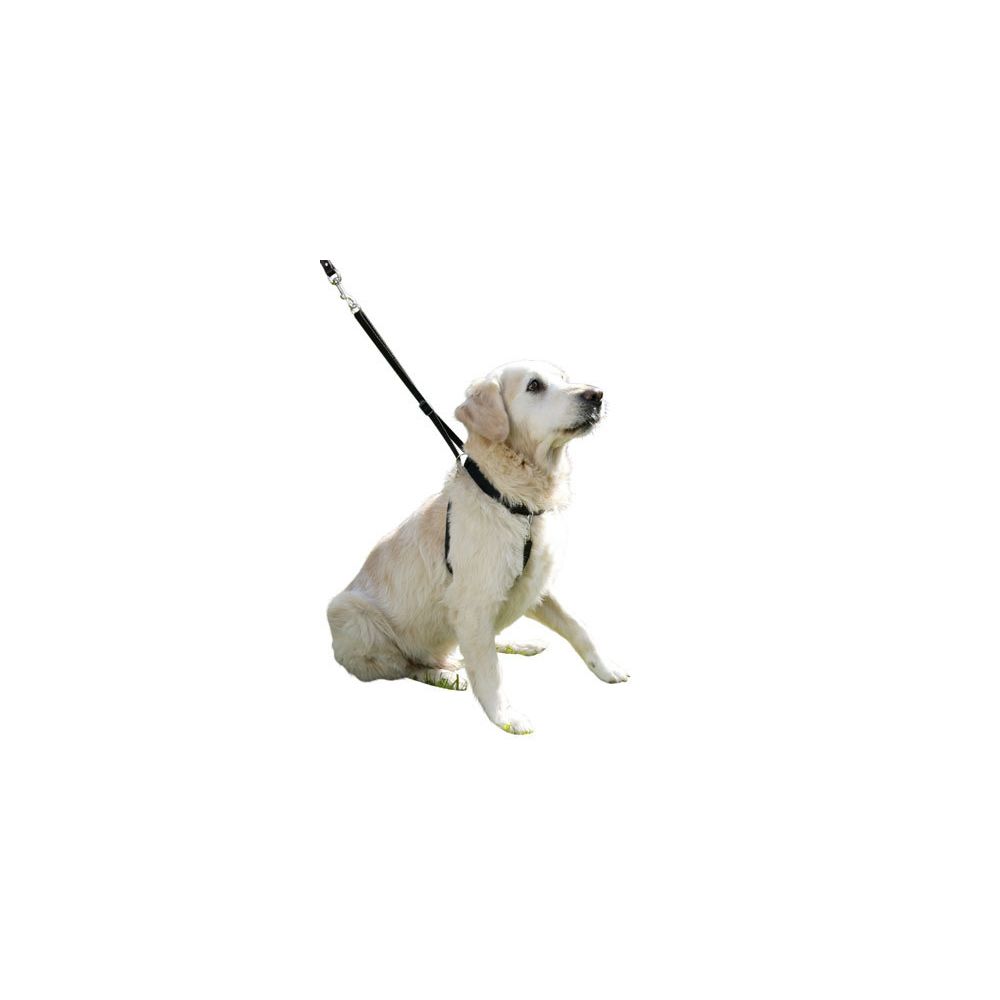 marque generique - Harnais dressage Maxi Leader Gentle Dog noir T 4 - Equipement de transport pour chien