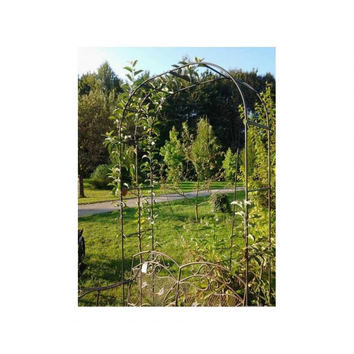 L'Héritier Du Temps - Grande Arche Simple Arche à Fleurs Rosiers Tuteur Plantes de Jardin Passage en Fer Forgé 40x150x250cm - Pergolas et Tonnelles