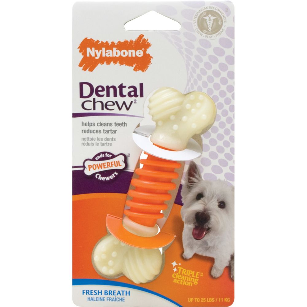 Nylabone - Jouet os à mâcher Dental Pro Action Chew - Jouet pour chien