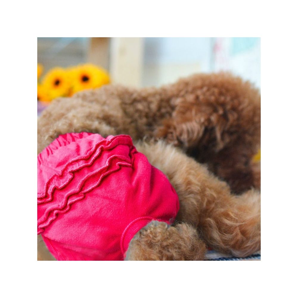 Wewoo - Culotte pour chien sanitaire Vêtements animaux de compagnieTaille S Rose rouge - Vêtement pour chien