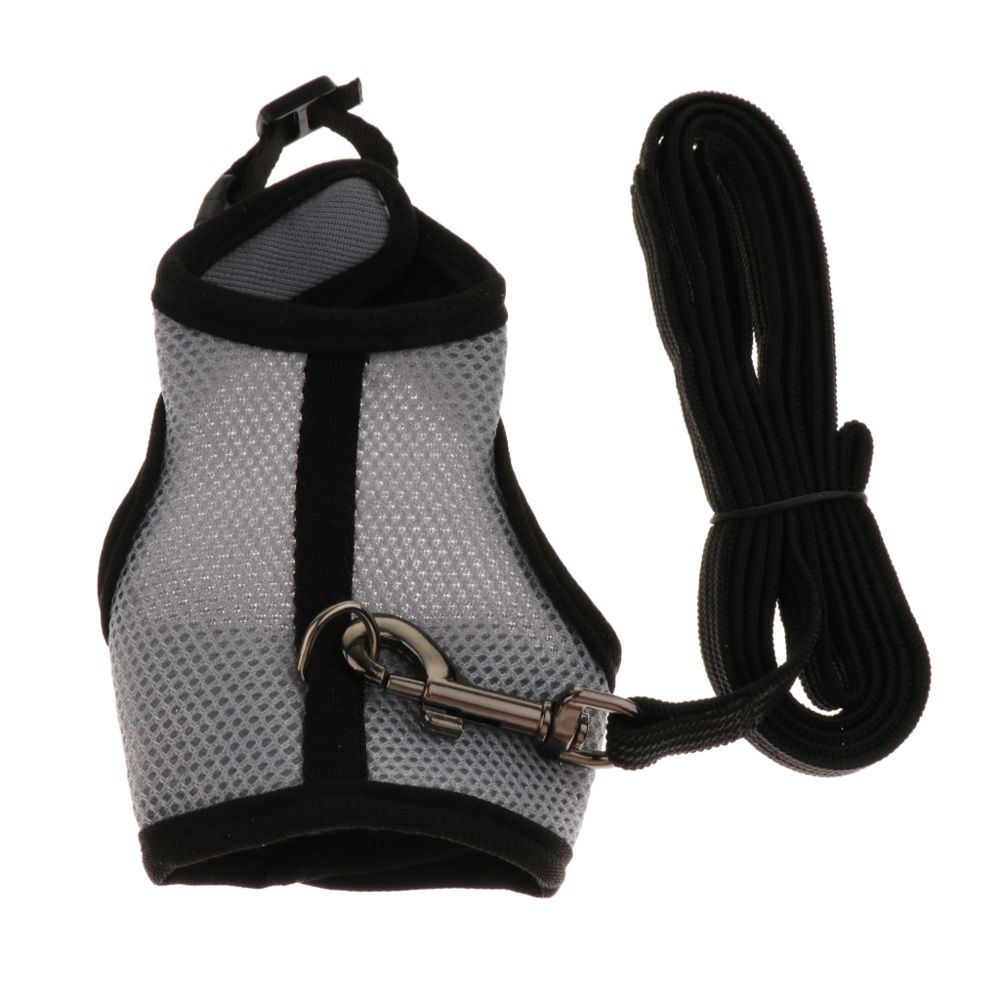 marque generique - corde de harnais pour petits animaux - Collier pour chien