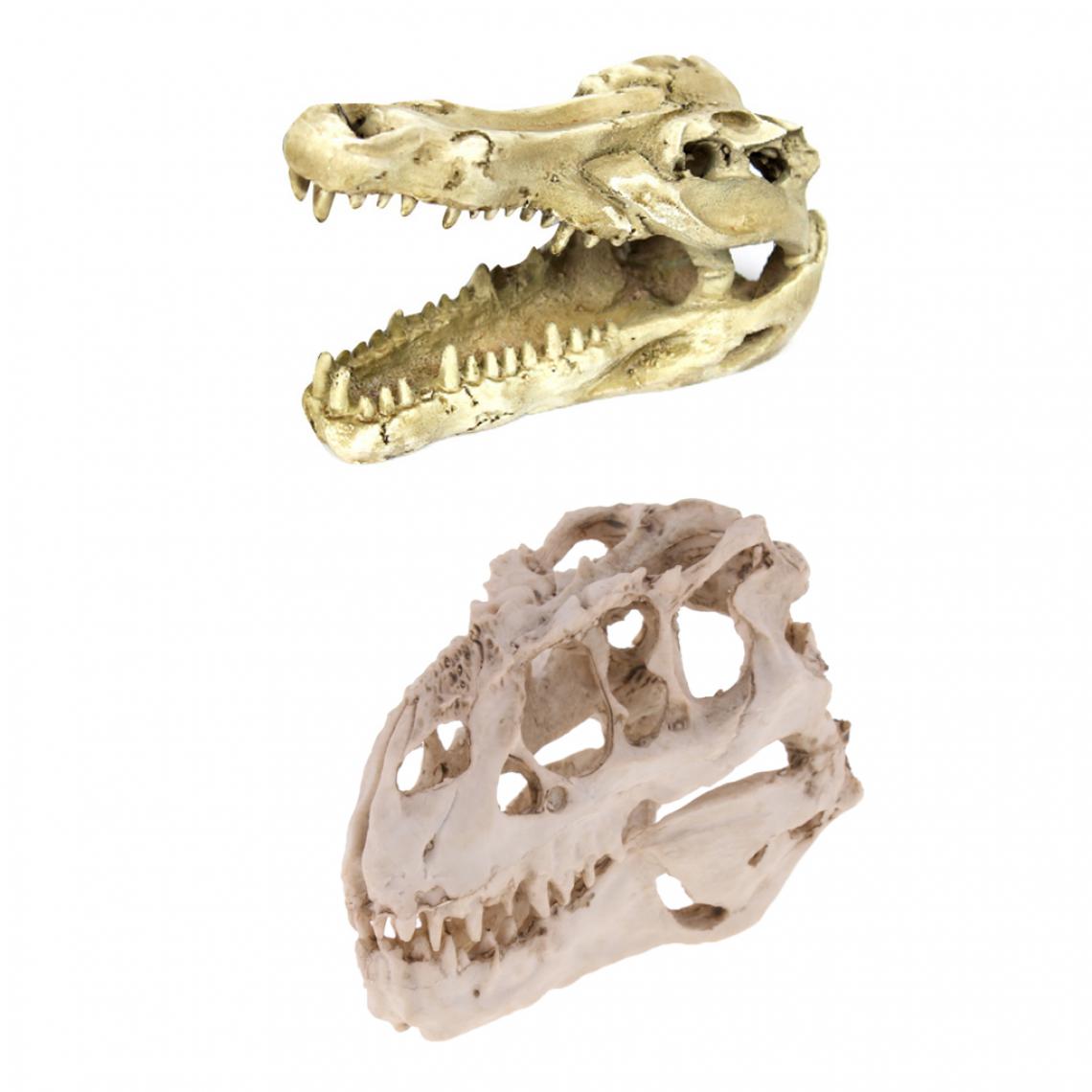 marque generique - 2 / Pack Reptile Décoration Boîte de Terrarium Paysager Crâne Crocodile en Résine - Alimentation reptile