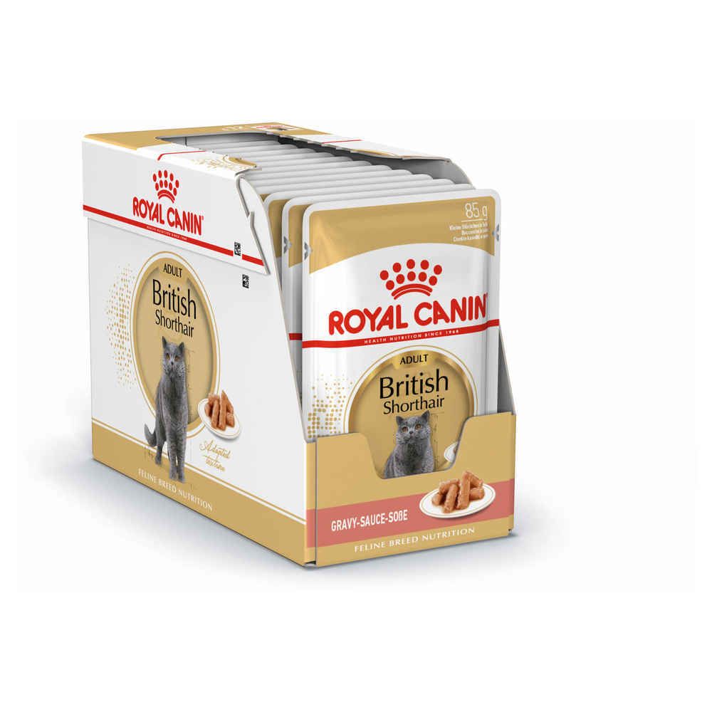 Royal Canin - Sachets British Shorthair en Sauce pour Chat - Royal Canin - 12x85g - Alimentation humide pour chat