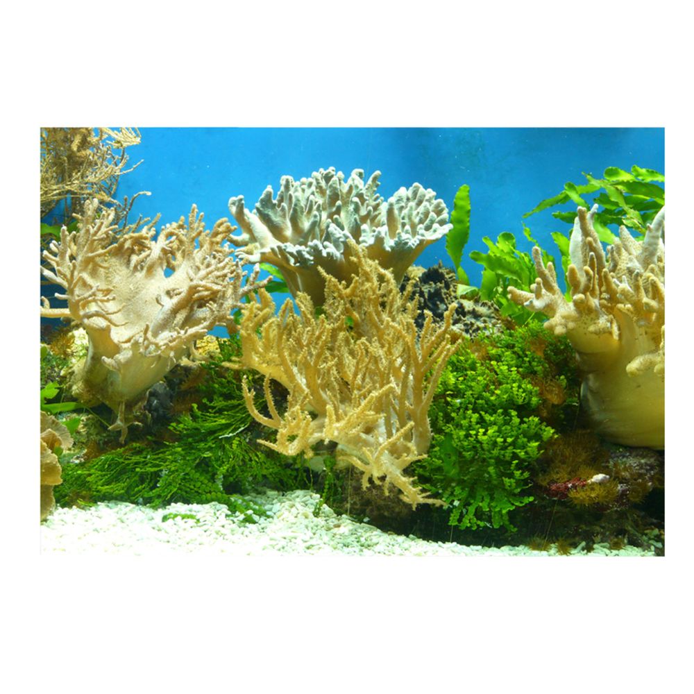 marque generique - pvc aquarium adhésif arrière-plan autocollant aquarium décor sous-marin herbe s - Décoration aquarium