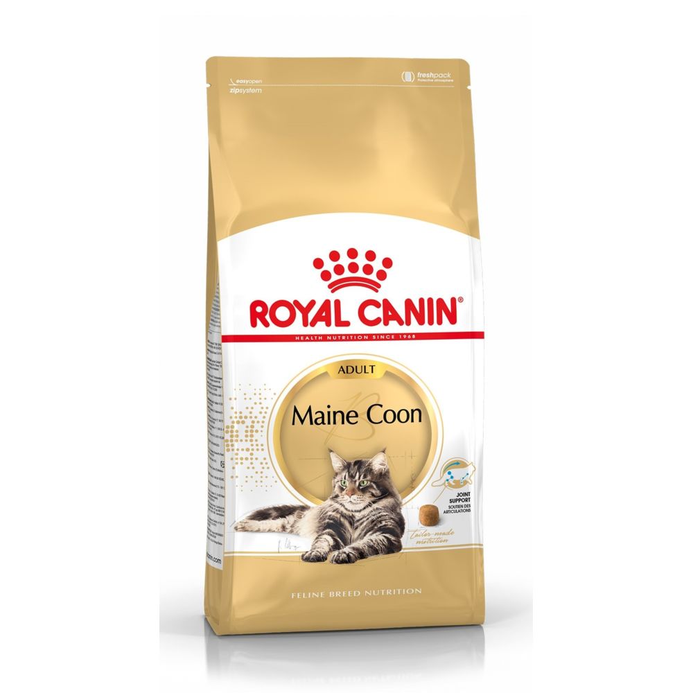 Royal Canin - Royal Canin Race Maine Coon Adult - Croquettes pour chat